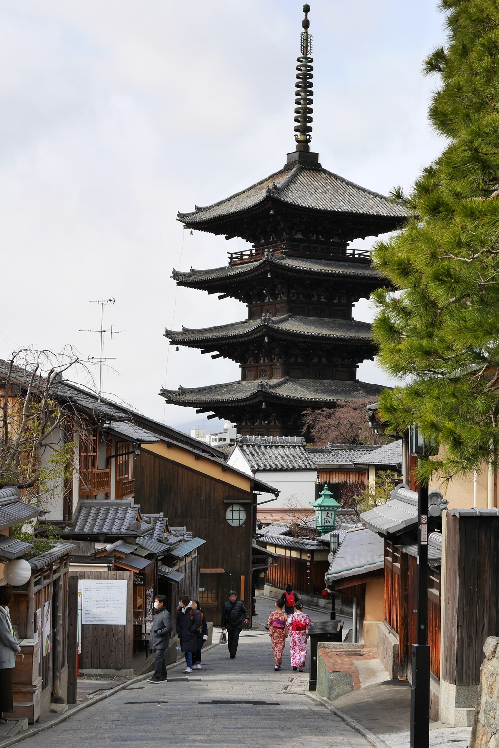 京都の定番!!