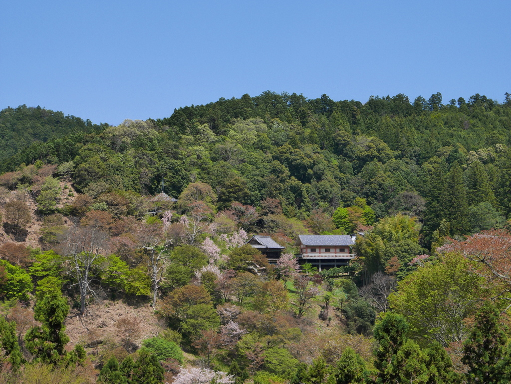奈良の吉野山~2