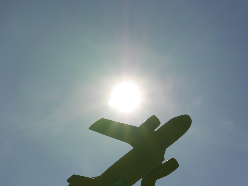 日の丸と飛行機‼