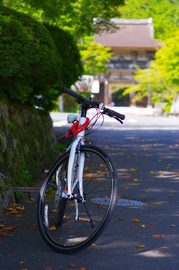 園城寺にて