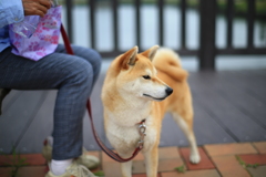 ん？