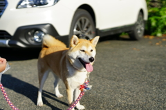 ｶﾒﾗを見てくれない1
