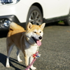 ｶﾒﾗを見てくれない1