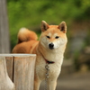 見つめる先は？