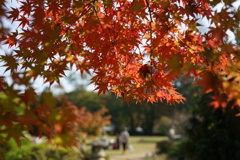 長府庭園にて