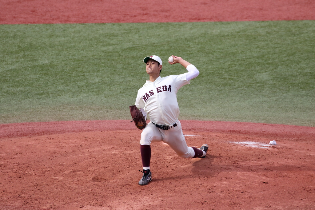 Sh 育成ドラ４位