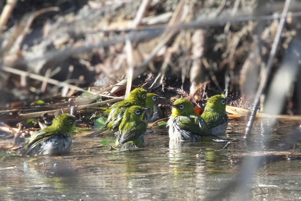 久々の暖かい１日