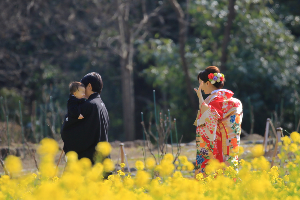 菜の花畑で