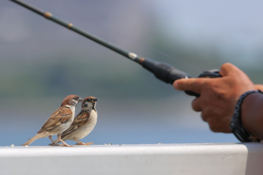 釣り人と雀