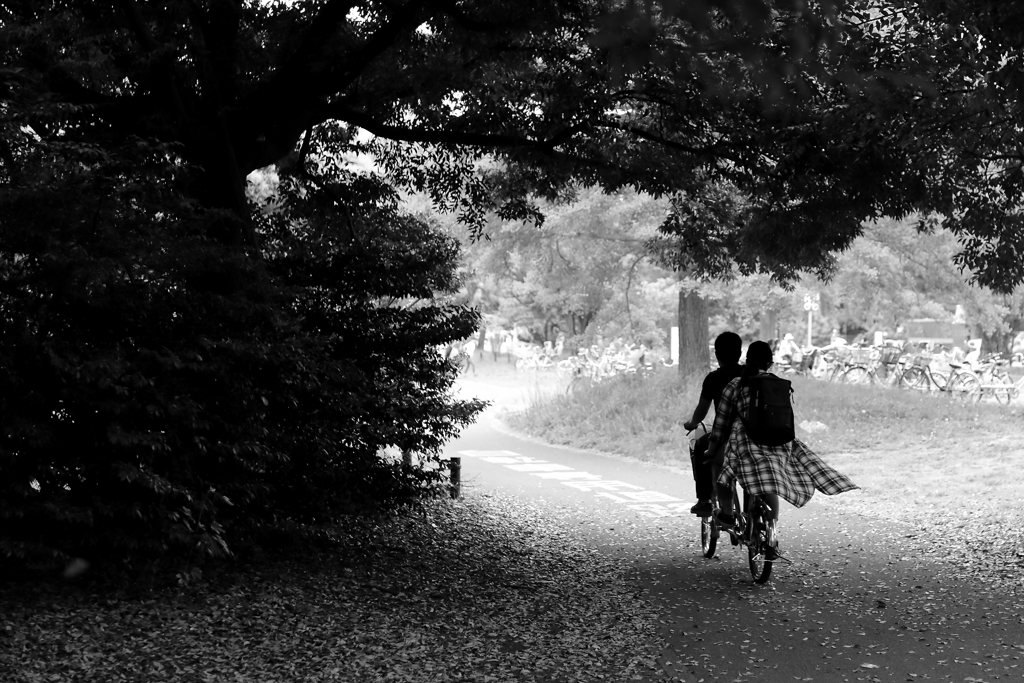 公園のサイクリングロード