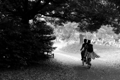 公園のサイクリングロード