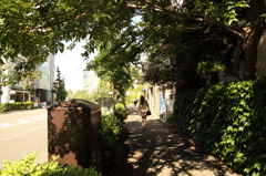 緑と影のトンネル