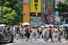 真夏のスクランブル