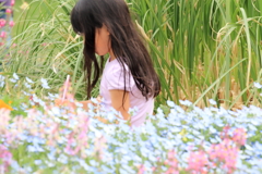 ネモフィラ畑の女の子