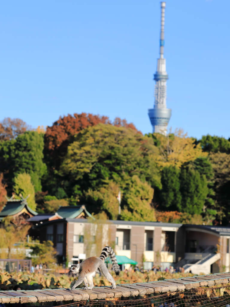 悠々自適