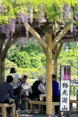 カメラを持って物見遊山 (^^)