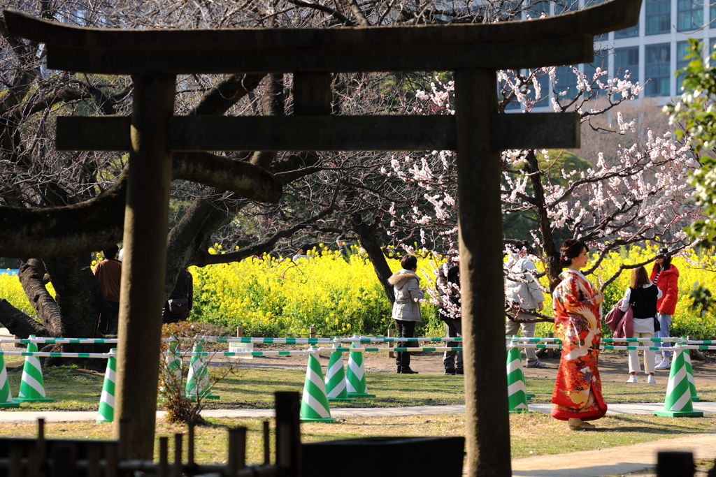鳥居の裏から
