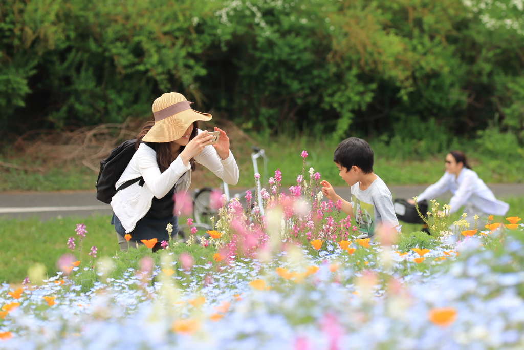 シャッターチャンス