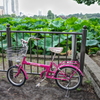 蓮色の自転車