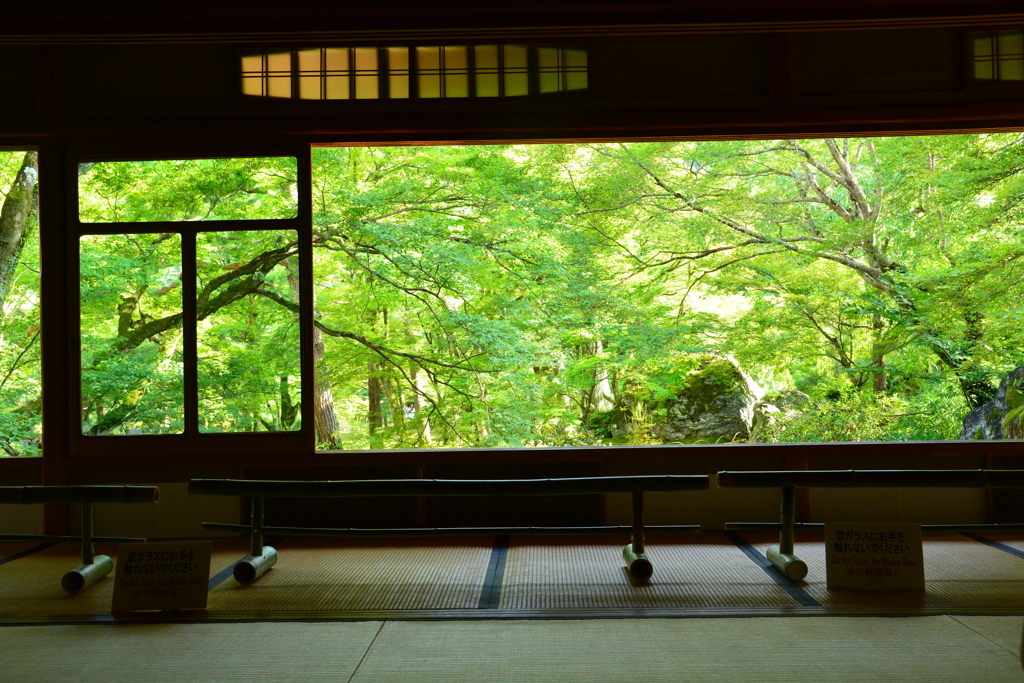 寺