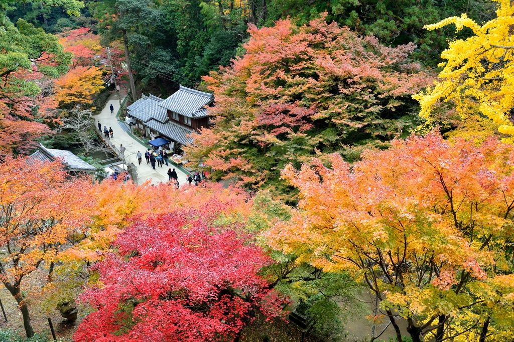 書写山