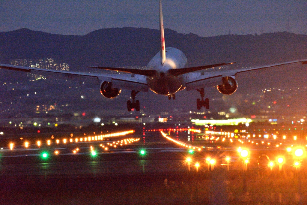 飛行機