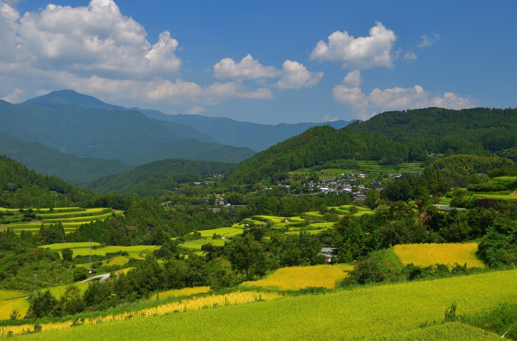 吉延の棚田