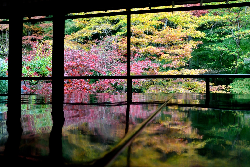 瑠璃光院