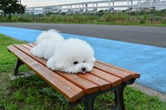 んがぁ〜疲れた〜。