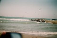 淀江の海