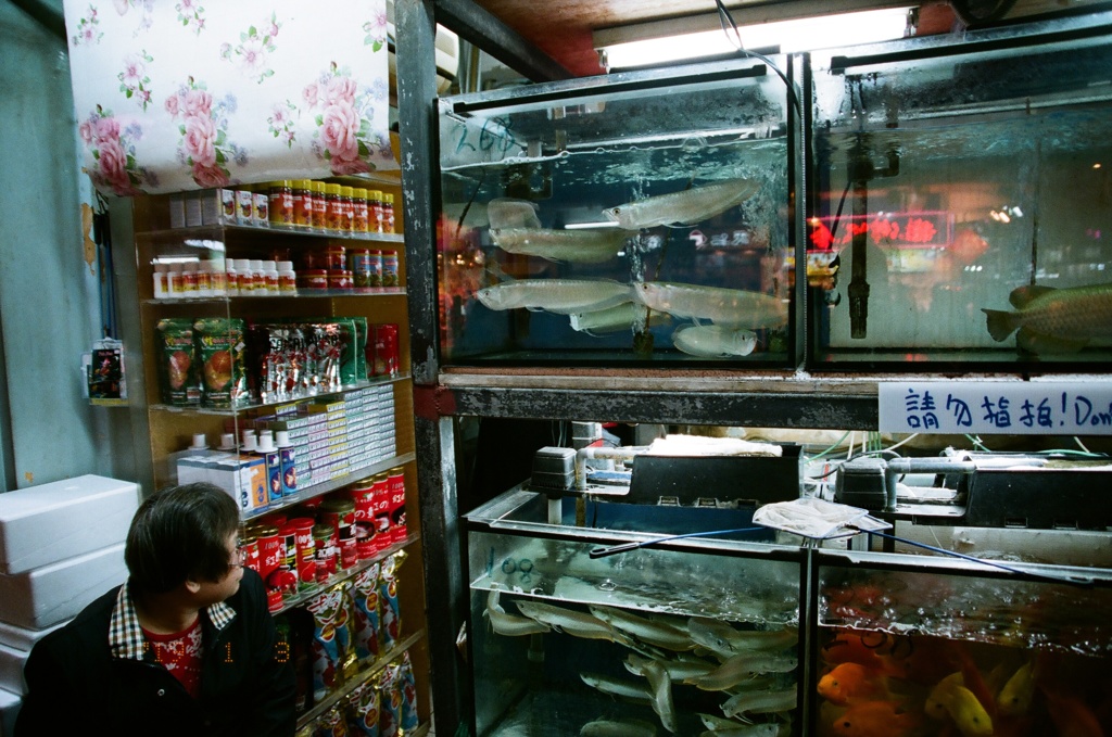 金魚街