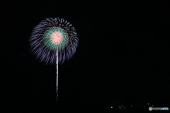 F09A0118