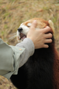 八木山動物園