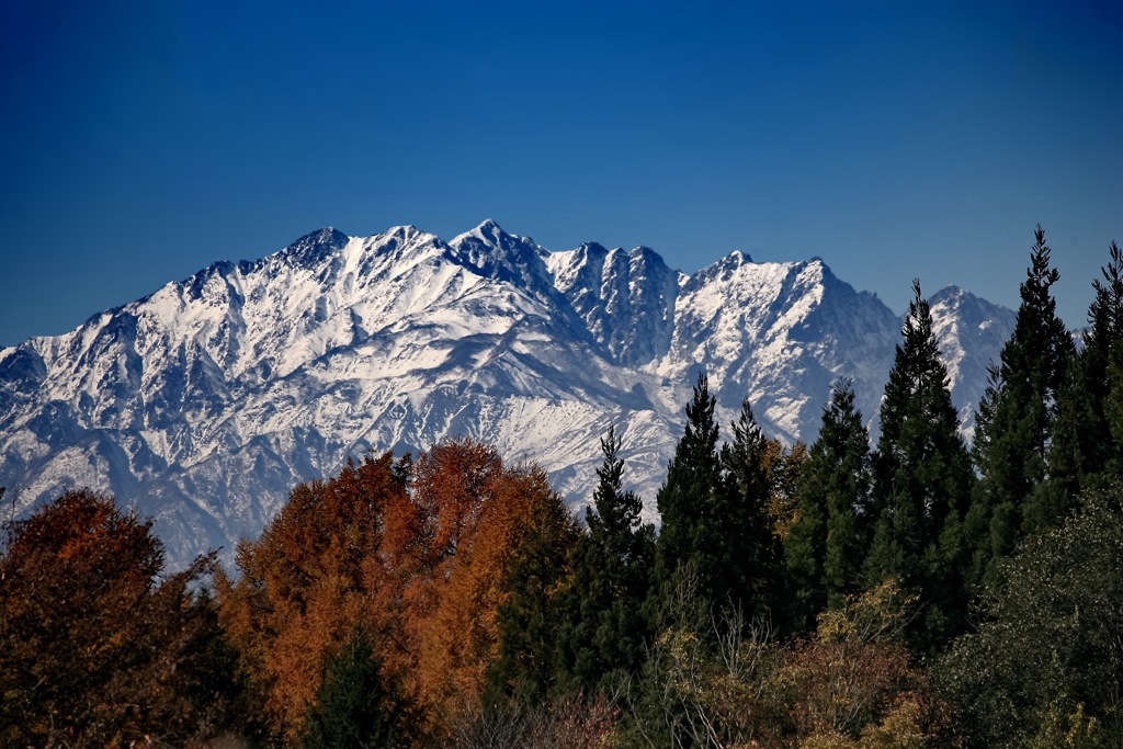 雪化粧