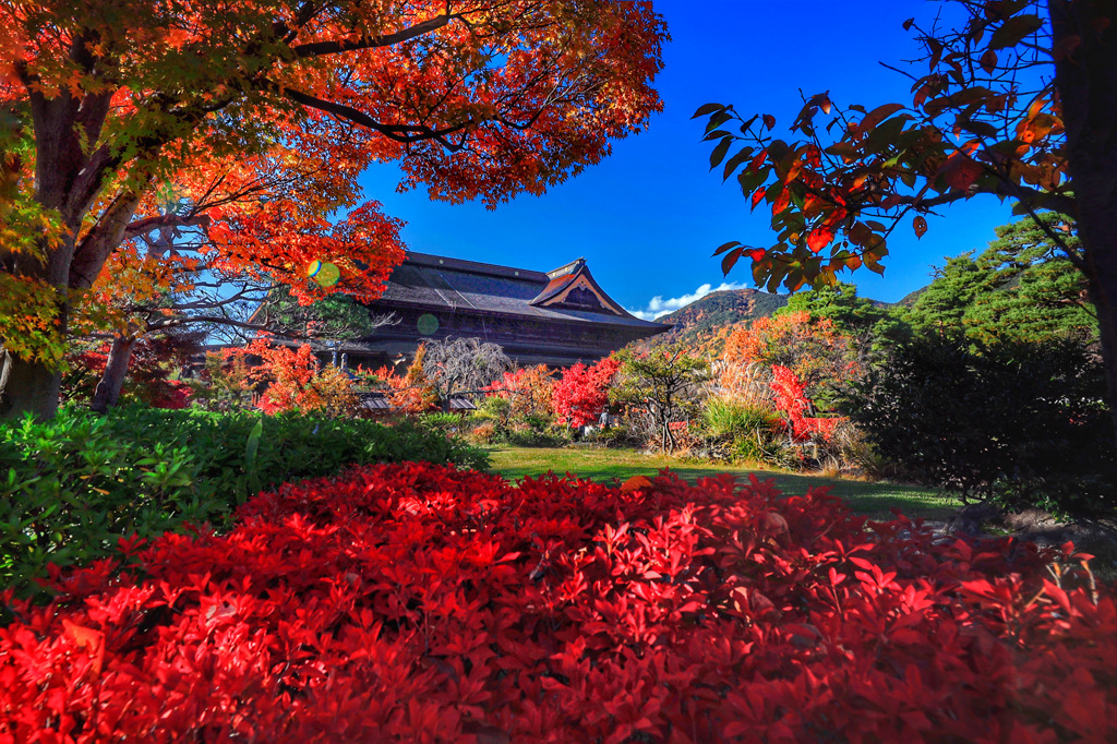 寺を彩る紅葉