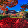 寺を彩る紅葉