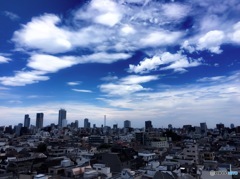 綺麗な青空と薄い雲･･･