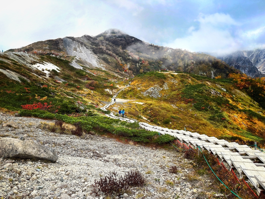 色付く登山道