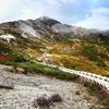 色付く登山道