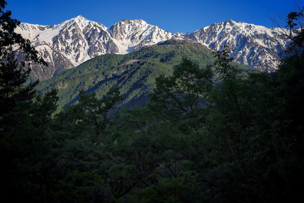 朝輝く山並み