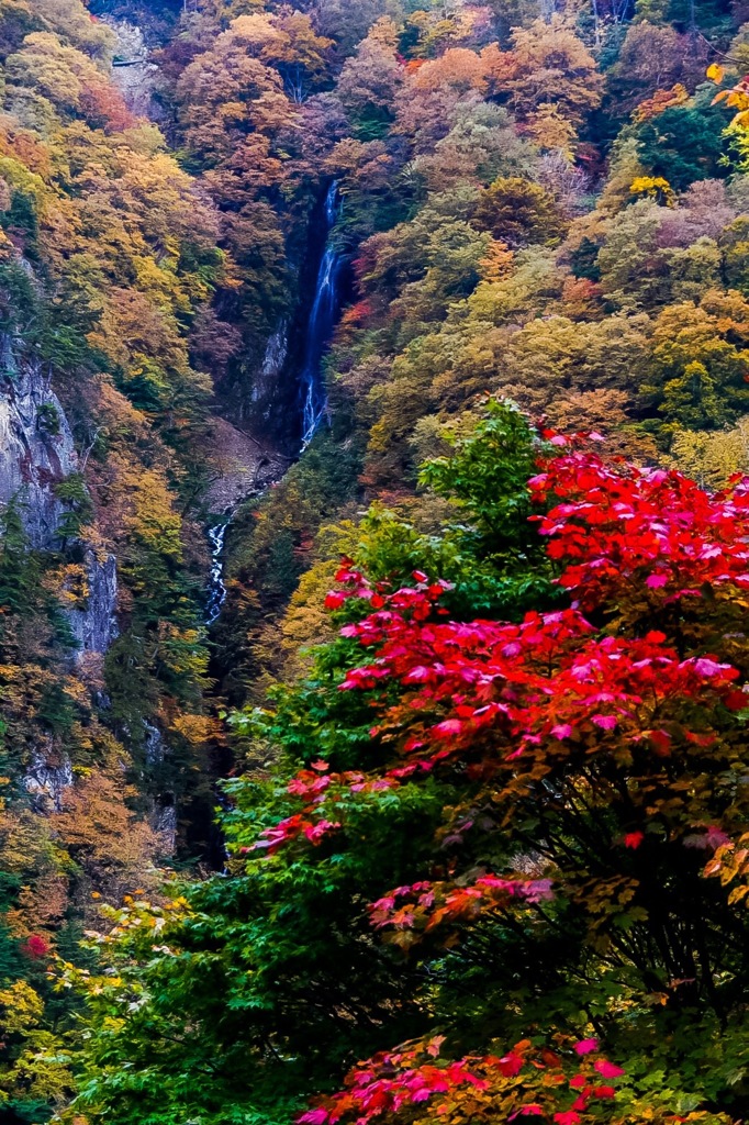 松川渓谷 ～八滝～