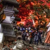 紅葉狩り