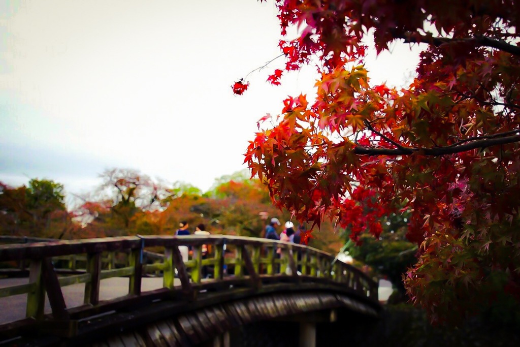京都、ぶらり散歩･･･