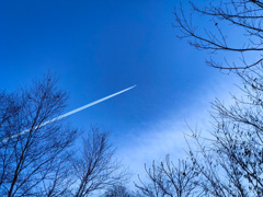 君と見上げた空