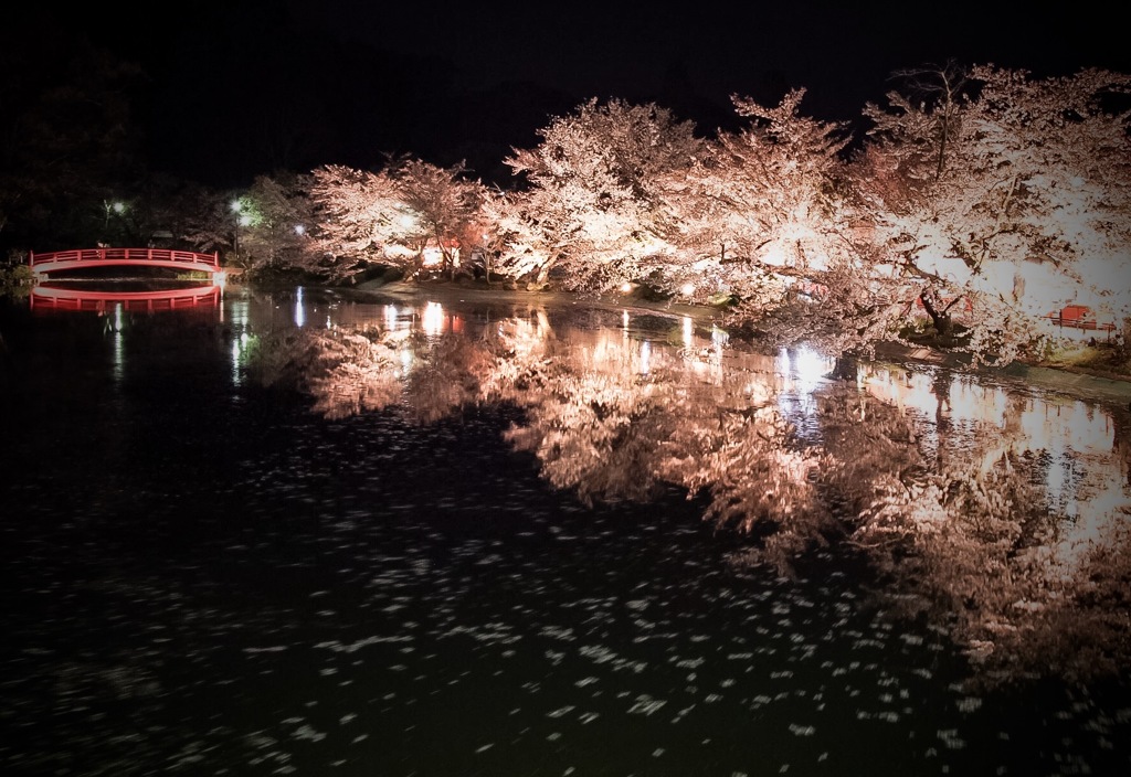 夜桜舞う･･･