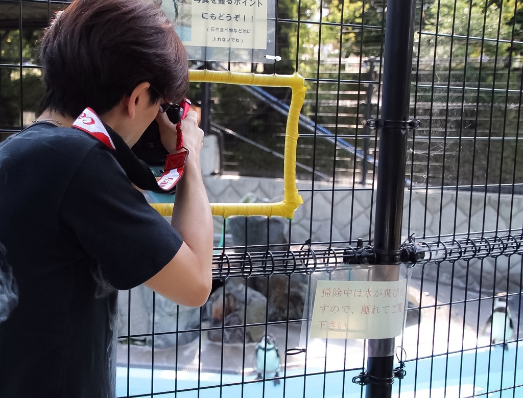 お散歩コース♪