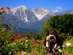 秋の花咲く白馬