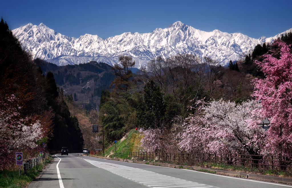 北アルプス春街道