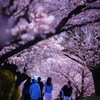 北信濃の春
