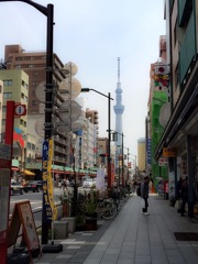 見えた!!
